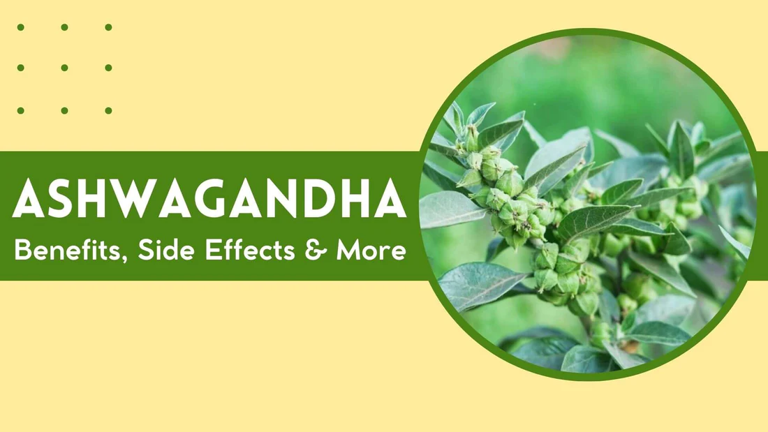 Ashwagandha Benefits for Stress & Mental Resilience